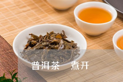 普洱茶 煮开/2023042851253